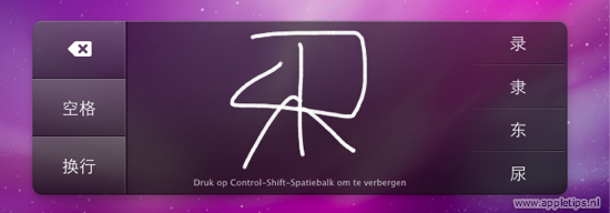 10-6-chinees-track