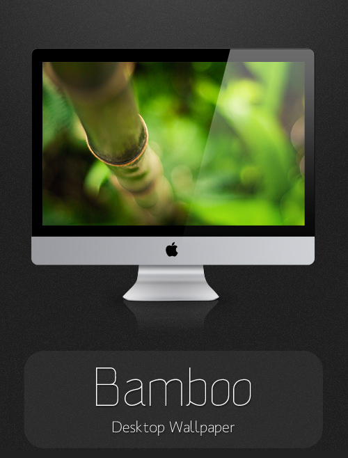 Bamboo