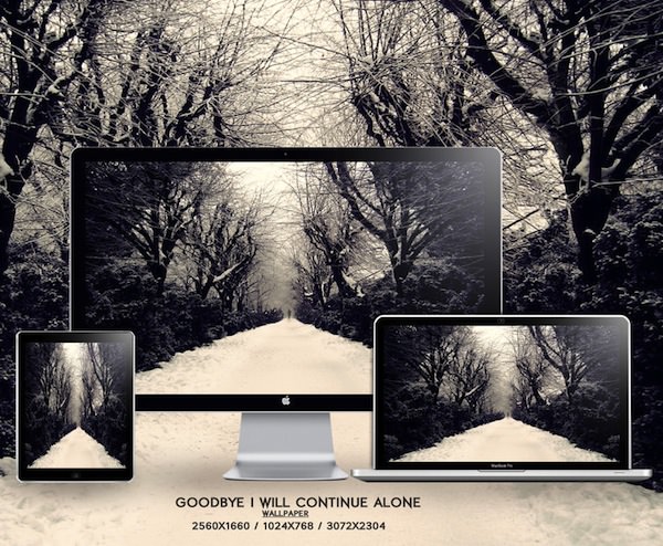 Goodbye I will continue alone