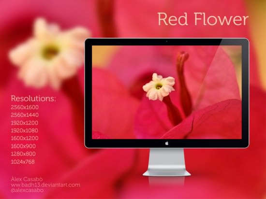 Red Flower