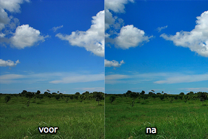 safari_color_mgt safari_color_mgt