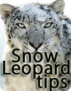 Snow Leopard Tips